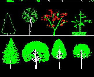 30种CAD精美植物立面图块-1