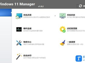 Windows 11 Manager(Win11优化管家) v1.0.2