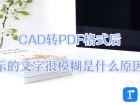 CAD转PDF格式后显示的文字很模糊是什么原因？